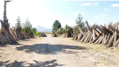 37 yıl önce kapanan dev fabrika geri döndü. Türkiye'nin büyük açığını kapatacak