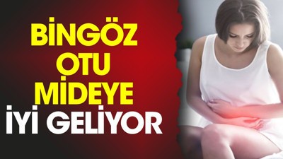 Mideye iyi gelen bitki (09 Ekim 2023)