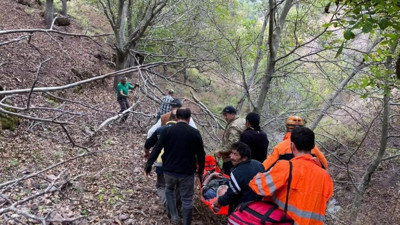 Ekipler ağaçtan düşen adam için seferber oldu