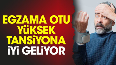 Yüksek tansiyona iyi gelen mucize ot (10 Ekim 2023)