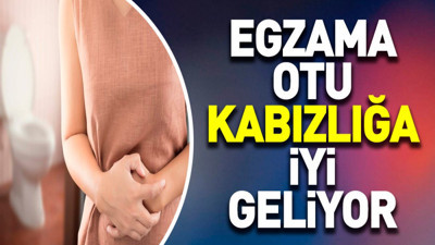 Kabızlığa birebir iyi gelen ot