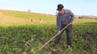 Traktörler garajda yatıyor çifti günlerdir elleriyle söküyor