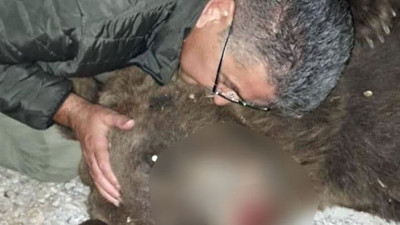 Kazdağları’nda kaza geçirip ölen bozayıya sarılıp öptü