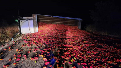 Balıkesir'de biber yüklü kamyon devrildi, 2 kişi yaralandı