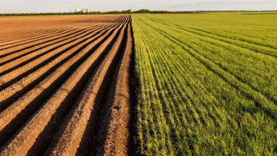 Bunu yapmayanın tarlasına devlet el koyacak. Çıkacak Torba Yasa'nın içinde yer alıyor