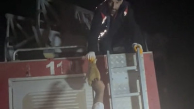 Direkte mahsur kalan kedinin imdadına itfaiye yetişti