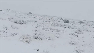 Artvin'in yüksek kesimleri beyaza büründü