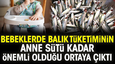 Bebeklerde balık tüketiminin anne sütü kadar önemli olduğu ortaya çıktı