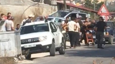 Zeytin hasadı yaparken arılar öldürdü