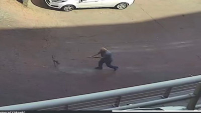 Bunu yapan insan olamaz. Yavru kediye işkence etti savunması pes dedirtti