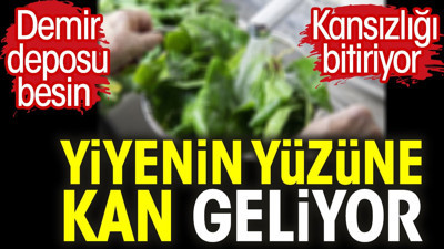 Yiyenin yüzüne kan geliyor. Demir deposu besin. Kansızlığı bitiriyor