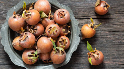 Beşbıyık bitkisi neye iyi geliyor?