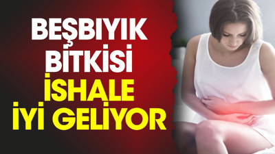 İshale iyi gelen bitki (13 Ekim 2023)