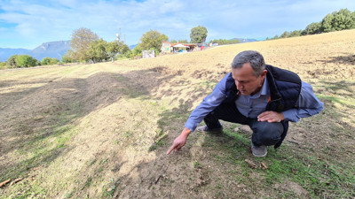 Mutluluk iksirinin hasadı bu sene rötar yaptı. Kanserin öksürüğün kökünü kazıyor