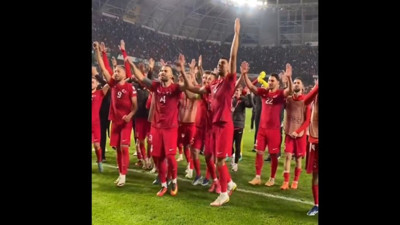 Milli Takım galibiyet sevincini seyirciyle kutladı