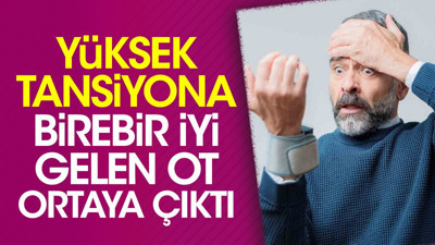 Yüksek tansiyona birebir iyi gelen ot ortaya çıktı
