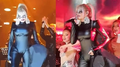 Ajda Pekkan kedi oldu sosyal medyanın diline düştü