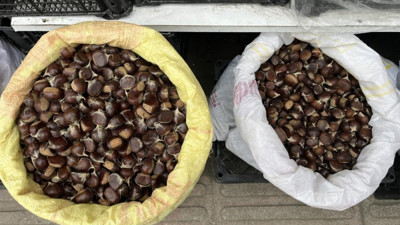 Lezzeti damak çatlatıyor. Fiyatı cep yakıyor. Kilosu 300 lira