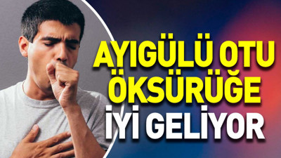 Öksürüğe iyi gelen ot (18 Ekim 2023)