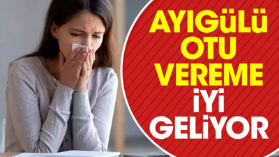 Vereme iyi gelen ot (18 Ekim 2023)