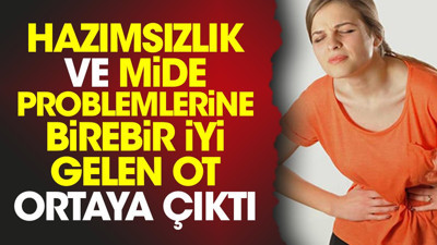 Hazımsızlık ve mide problemlerine birebir iyi gelen ot ortaya çıktı
