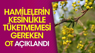 Hamilelerin kesinlikle tüketmemesi gereken otu açıkladı