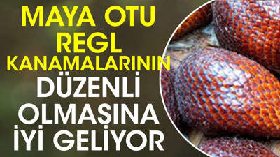 Regl kanamalarının düzenli olmasına iyi gelen ot