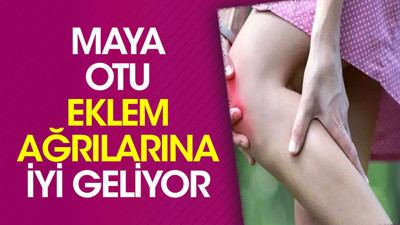 Eklem ağrılarına iyi gelen ot