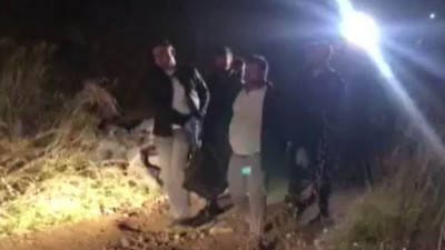 Son nefesini zeytin ağacında verdi