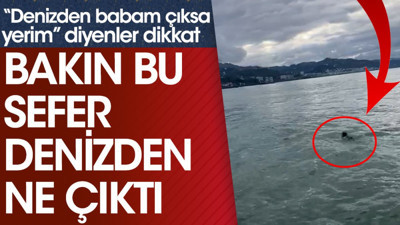 “Denizden babam çıksa yerim” diyenler dikkat. Bakın bu sefer denizden ne çıktı