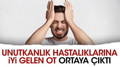 Unutkanlık hastalıklarına iyi gelen ot ortaya çıktı