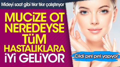 Mucize ot neredeyse tüm hastalıklara iyi geliyor. Cildi pırıl pırıl yapıyor. Mideyi saat gibi tıkır tıkır çalıştırıyor