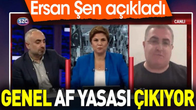 Genel af yasası çıkıyor. Ersan Şen açıkladı