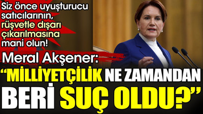 Meral Akşener: "Milliyetçilik ne zamandan beri suç oldu?"