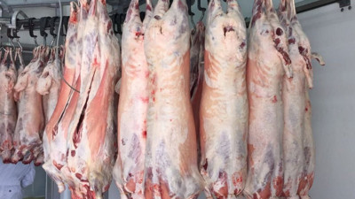 İthal ette yaşanan skandalı CHP'li Karabat açıkladı. "Et ithalatında rant sistemi kuruldu"