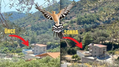 Meclis üyesi kaçak havuz yaptı ibibik kapattırdı. Datça'da bir ilginç olay