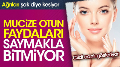 Ağrıları şak diye kesiyor. Cildi canlı gösteriyor. Mucize otun faydaları saymakla bitmiyor