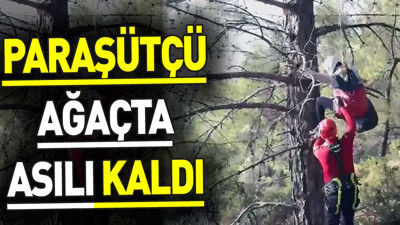 Paraşütçü ağaçta asılı kaldı