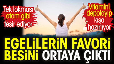Egelilerin favori besini ortaya çıktı. Tek lokması atom gibi tesir ediyor. Vitamini depolayıp kışa hazırlıyor