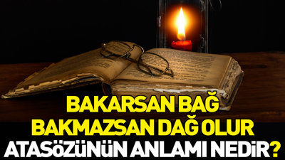Bakarsan bağ bakmazsan dağ olur atasözünün anlamı nedir?