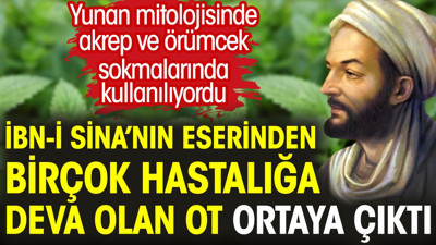 İbn-i Sina’nın eserinden birçok hastalığa deva olan ot ortaya çıktı