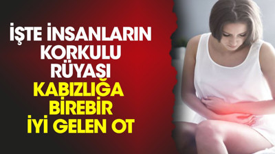 İşte insanların korkulu rüyası kabızlığa birebir iyi gelen ot