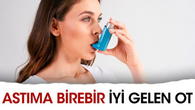Astıma birebir iyi gelen ot