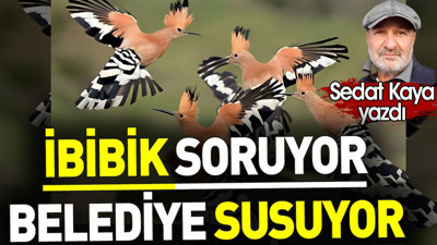 İbibik soruyor belediye susuyor