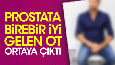 Prostata birebir iyi gelen ot ortaya çıktı