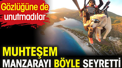 Muhteşem manzarayı böyle seyretti. Köpeğiyle yamaç paraşütü atlayışı yaptı
