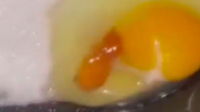 Marketten aldığı yumurtadan civciv çıktı!