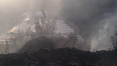 Aksu'da çıkan orman yangını söndürüldü