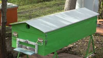 Bu tabuta dokunan çığlığı basıyor içinden çıkanlar hayrete düşürüyor. Bahçede duruyor