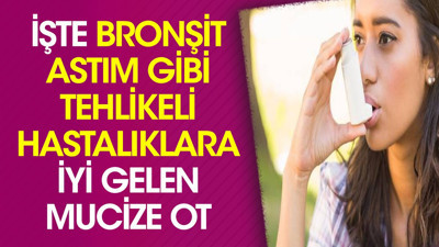 İşte bronşit astım gibi tehlikeli hastalıklara iyi gelen mucize ot